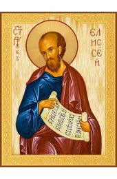 Храмовая икона Елисей Пророк, арт ДМИХ-710