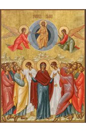Икона Вознесение Господне, арт ДМИ-004-2