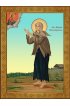 Икона Варвара Скворчихинская, арт ДМИ-161