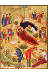 Икона Рождество Христово, арт ДМИ-168-2