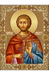 Икона Евгений Севастийский, арт ДМИ-262