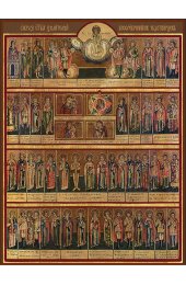 Храмовая икона Собор целителей, бессребреников и чудотворцев, арт ДМИХ-202