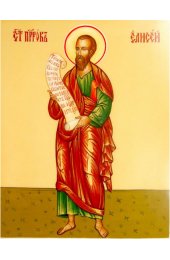 Икона Елисей Пророк, арт ОПИ-1246