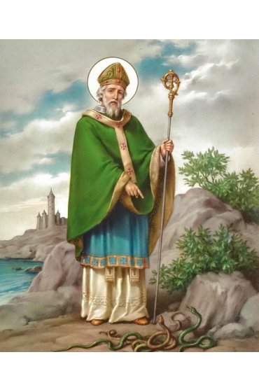 Икона Патрик (Патрикий) просветитель Ирландии, арт ОПИ-1787