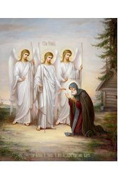 Икона Александр Свирский, арт ОПИ-756