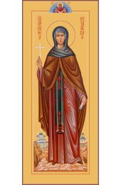 Икона София Суздальская, арт MSM-4825