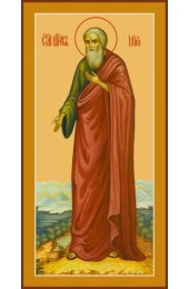Икона Илья пророк ростовая, арт R-MSM-4441-1