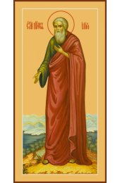 Икона Илья пророк ростовая, арт R-MSM-4441