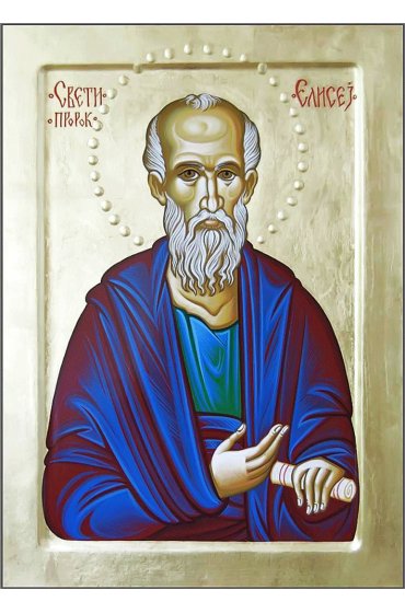 Икона Елисей пророк, арт MSM-0229