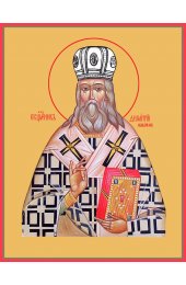 Икона Димитрий (Добросердов) священномученик, арт MSM-0250
