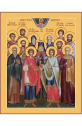 Икона Собор Святых Целителей, арт MSM-4658