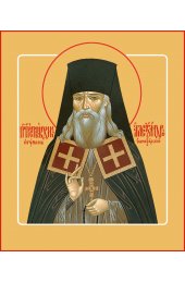 Икона Александр Санаксарский, арт MSM-4849