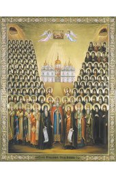 Икона Собор Киевских Чудотворцев, арт MSM-4901