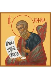 Икона Софония Пророк, арт MSM-6035