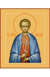Икона Виталий Александрийский, арт MSM-6578_1