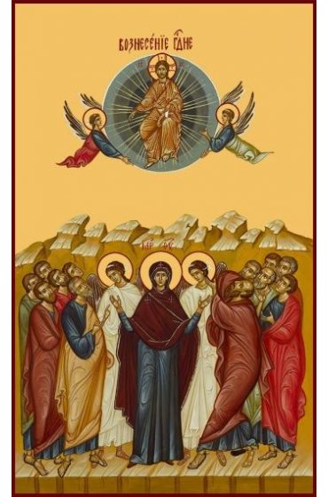 Икона Вознесение Господне, арт MSM-6665