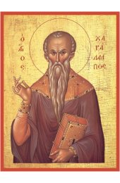 Икона Харалампий Священномученик, арт MSM-6768