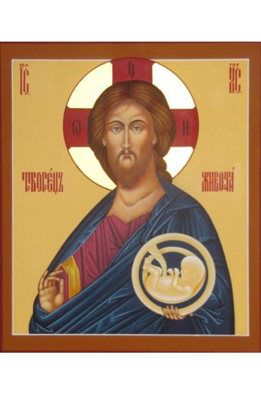 Икона Иисус Христос Творец Живота писаная, арт ИР-1419