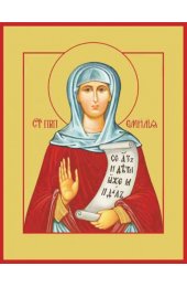 Икона Эмилия Кесарийская писаная, арт ИР-1323