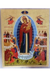 Икона Божьей Матери Всех Скорбящих Радость (18*22 см), арт СТ-004