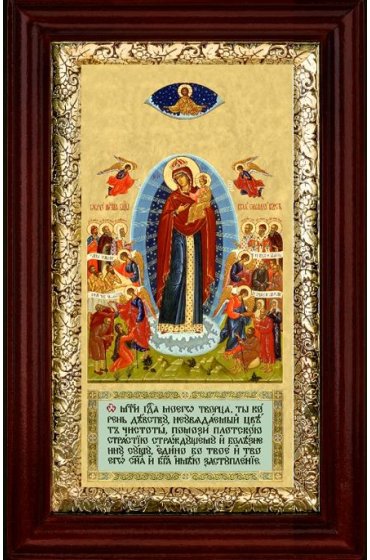 Икона Божья Матерь Всех Скорбящих Радость 16*26 см арт СТ-11008-1