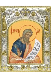 Икона Иезекииль пророк 14x18 в серебряном окладе, арт вк-1694