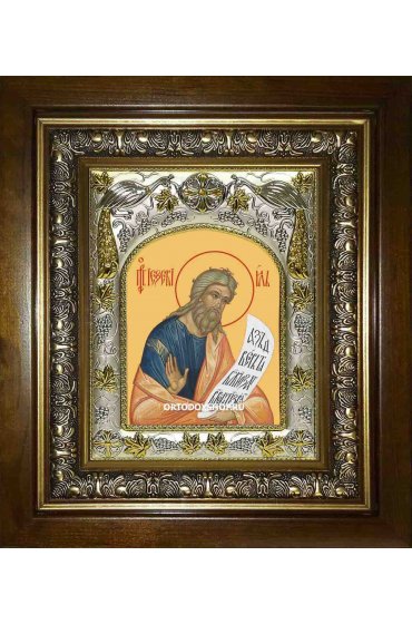 Икона Иезекииль пророк, 14x18 см, в деревянном киоте 20х24 см, арт вк-1775 Икона Иезекииль пророк, 14x18 см, в деревянном киоте 20х24 см, арт вк-1775