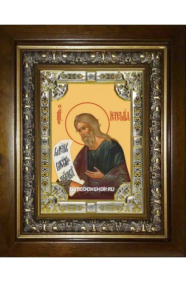 Икона Иеремия пророк, 18x24 см, со стразами, в деревянном киоте, арт вк-1903