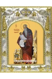 Икона Стилиан преподобный 14x18 в серебряном окладе, арт вк-2263