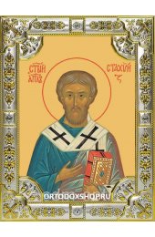 Икона Стахий Византийский серебро 18 х 24 со стразами, арт вк-2385