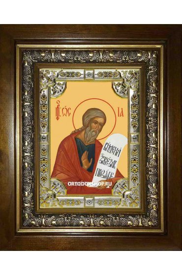 Икона Осия пророк, 18x24 см, со стразами, в деревянном киоте, арт вк-2475