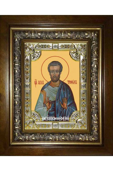 Икона Трофим апостол от семидесяти, 18x24 см, со стразами, в деревянном киоте, арт вк-2478