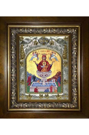 Икона Божья Матерь Живоносный источник, 14x18 см, в деревянном киоте 20х24 см, арт вк-2763