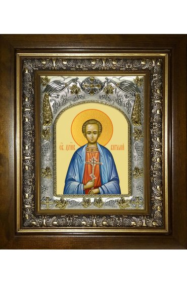 Икона Виталий Александрийский, 14x18 см, в деревянном киоте 20х24 см, арт вк-3747