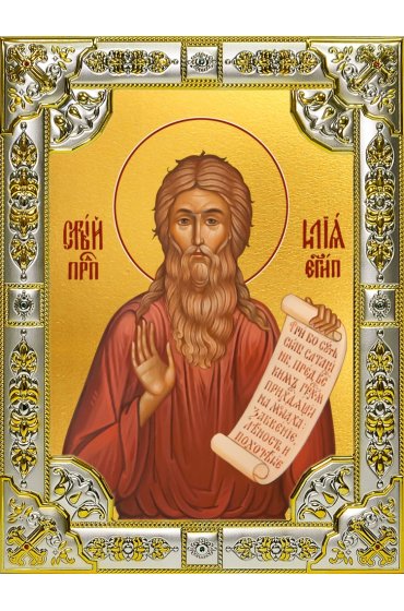 Икона Илия (Илья) Египетский 18 х 24 со стразами, арт вк-5636