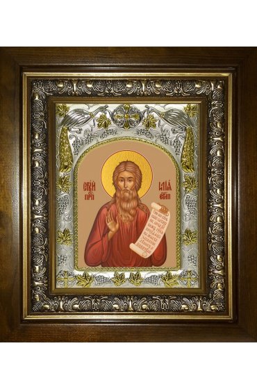 Икона Илия (Илья) Египетский, 14x18 см, в деревянном киоте 20х24 см, арт вк-5674