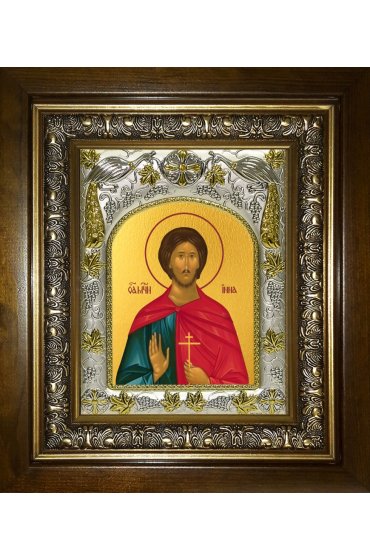 Икона Инна Новодунский, 14x18 см, в деревянном киоте 20х24 см, арт вк-5679