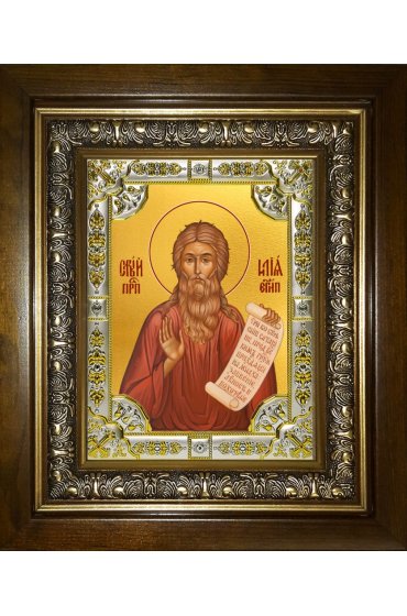 Икона Илия (Илья) Египетский, 18x24 см, со стразами, в деревянном киоте, арт вк-5705