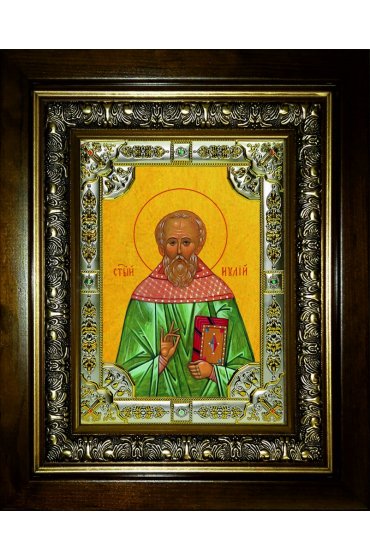 Икона Иулий (Юлий) Мирмидонянин, 18x24 см, со стразами, в деревянном киоте, арт вк-5709