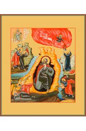 Икона Илия Пророк, арт MSM-481
