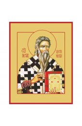 Икона Петр Цитинский, арт PKI-СВТ-26