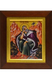 Икона Пророк Илия, арт вк-294